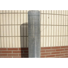 Hot Dipped Galvanized Welded Wire Mesh of 1/2 Mesh